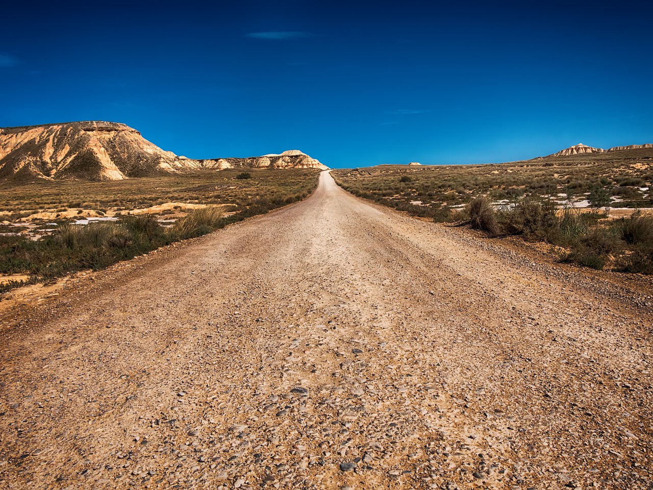 Nature’s Highways - Preserving Ancient Migration Routes